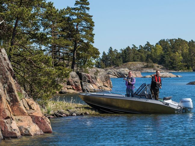Električni trim i tilt